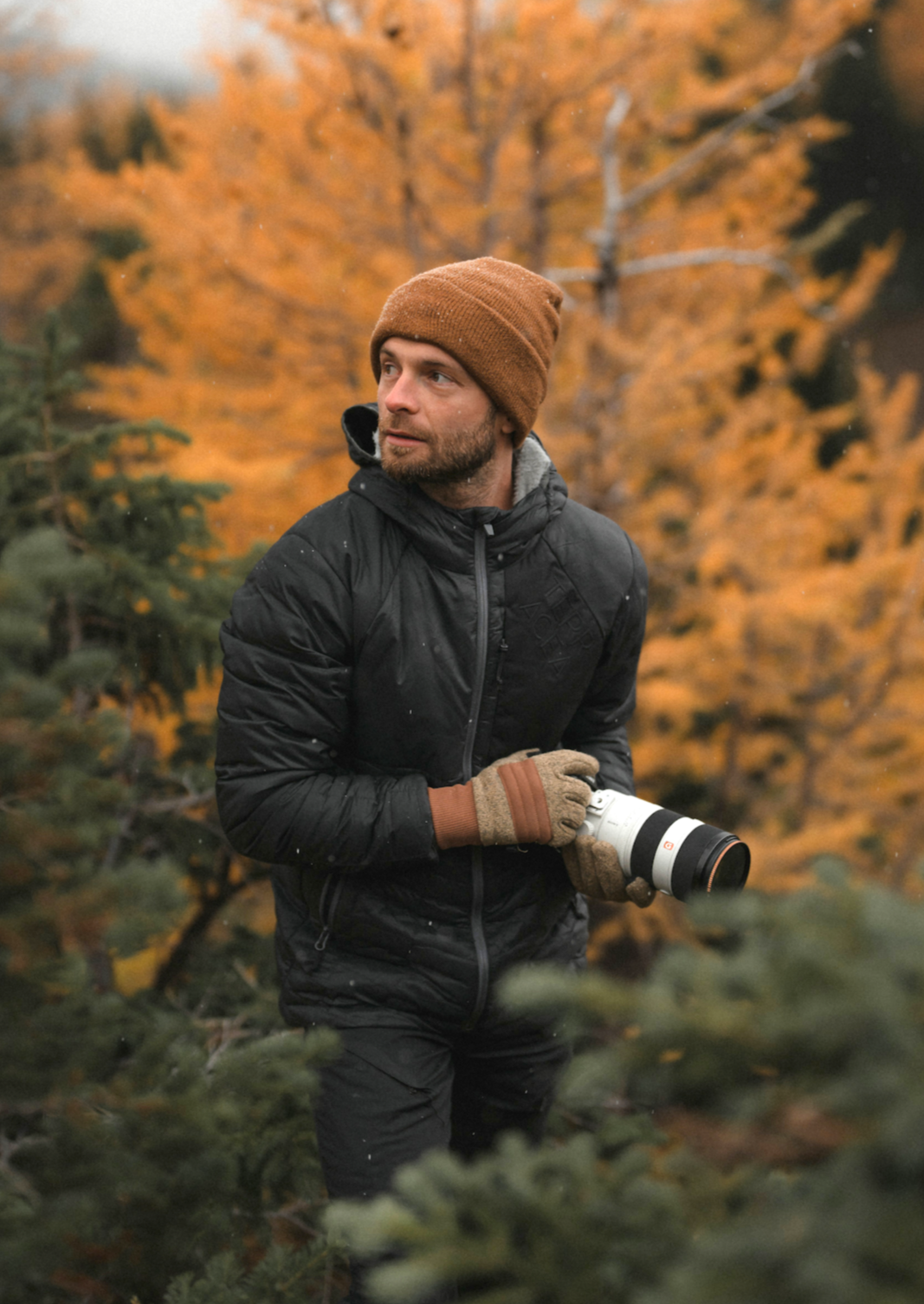 #color_stealth-black